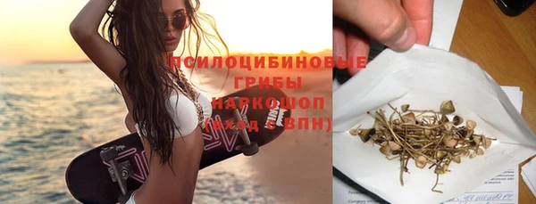трава Кущёвская