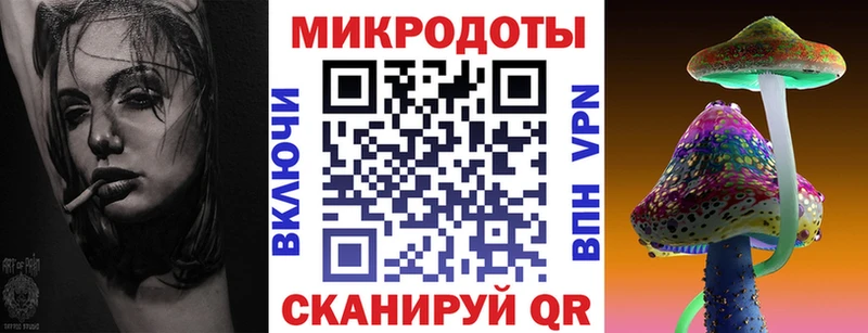 закладка  Краснослободск  Галлюциногенные грибы Psilocybine cubensis 